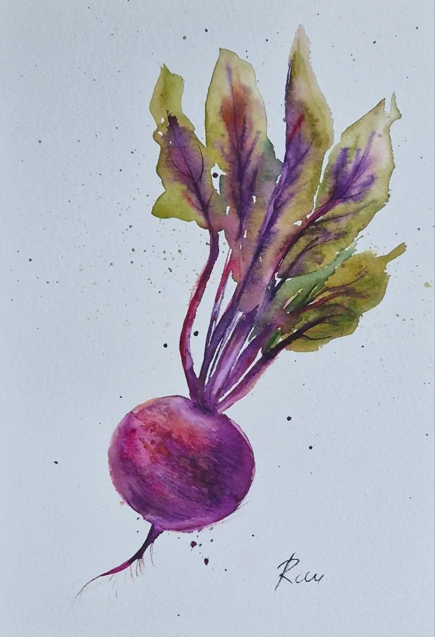 řepa. akvarel. 20x30